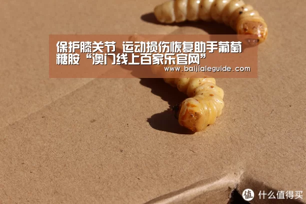 保护膝关节 运动损伤恢复助手葡萄糖胺“澳门线上百家乐官网”(图1) 百家乐入口