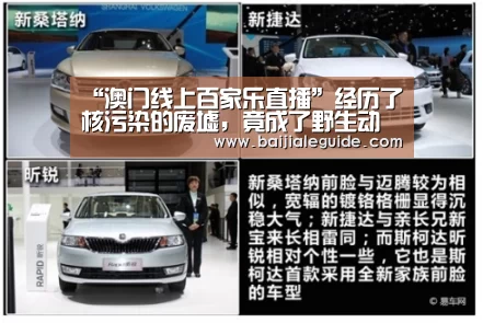 “澳门线上百家乐直播”经历了核污染的废墟,竟成了野生动物的“天堂”?(图1) 澳门线上百家乐
