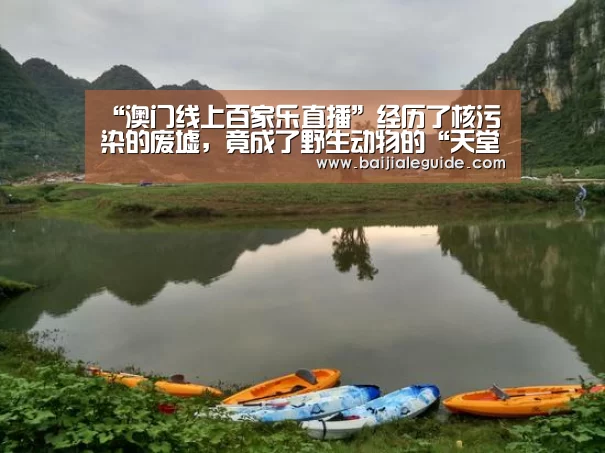 “澳门线上百家乐直播”经历了核污染的废墟,竟成了野生动物的“天堂”?(图3) 澳门线上百家乐直播