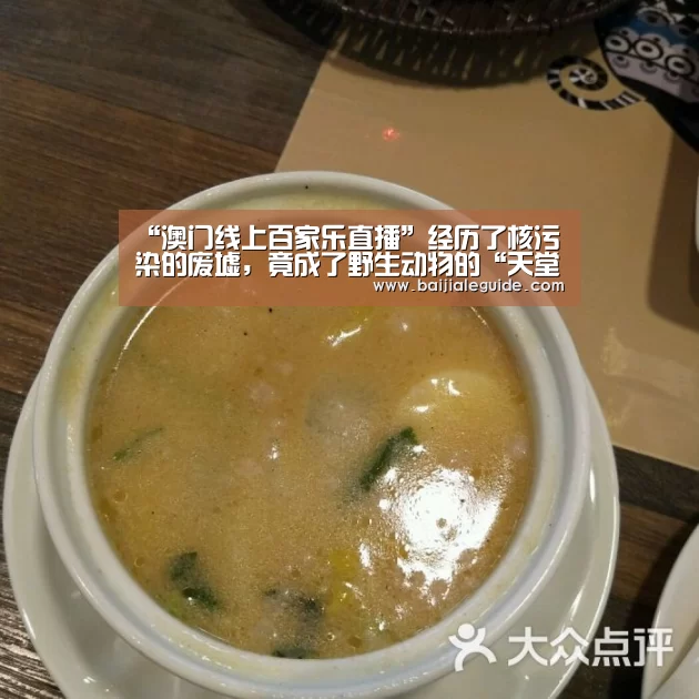 “澳门线上百家乐直播”经历了核污染的废墟,竟成了野生动物的“天堂”?(图4) 百家乐入口