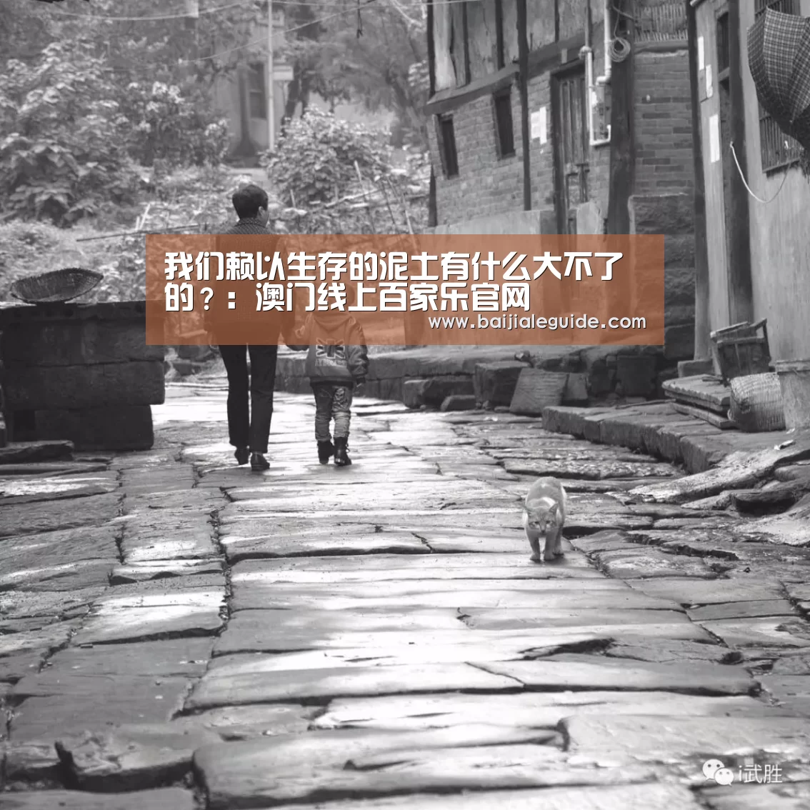 我们赖以生存的泥土有什么大不了的?:澳门线上百家乐官网(图1) 澳门线上百家乐官网