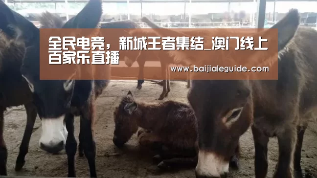 全民电竞,新城王者集结_澳门线上百家乐直播(图2) 澳门线上百家乐直播